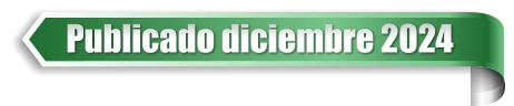 Publicado diciembre 2024